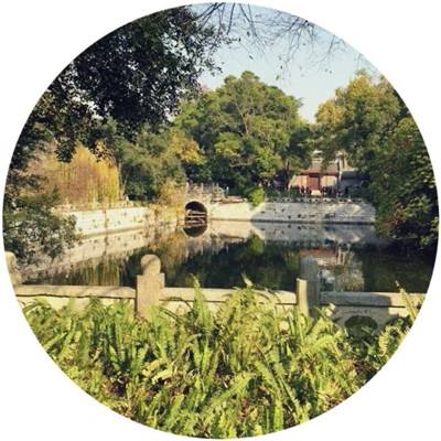 bet体育365官网正规app下载